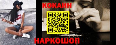крисы Моздок