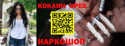 гашик Можга