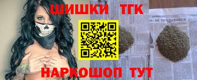 крисы Моздок