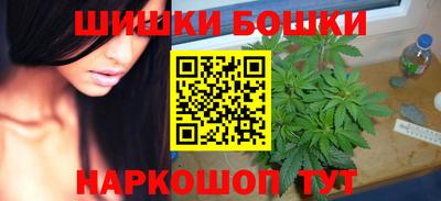 гашик Можга