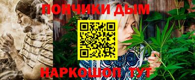 крисы Моздок
