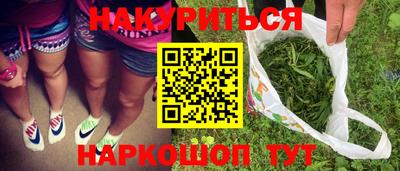 крисы Моздок