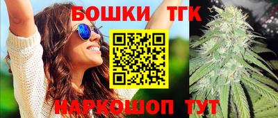 крисы Моздок