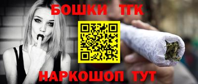 крисы Моздок