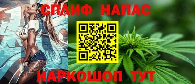 гашик Можга