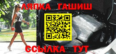 крисы Моздок
